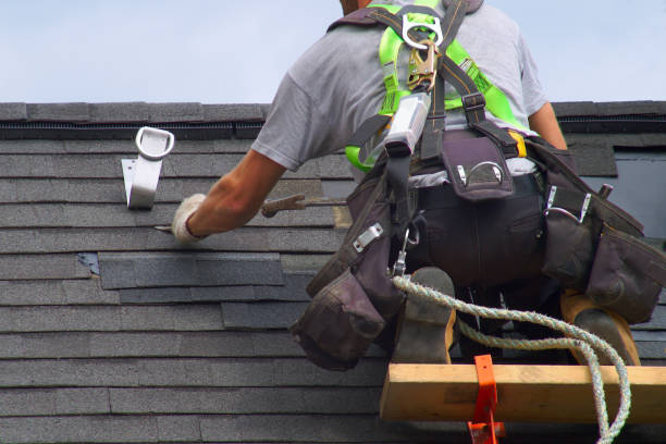 Best Roof Gutter Cleaning  in Longview Heights, WA