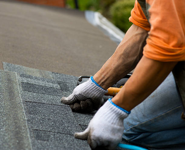 Best Roof Maintenance Services  in Longview Heights, WA